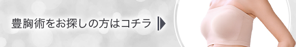 豊胸術をお探しの方はコチラ