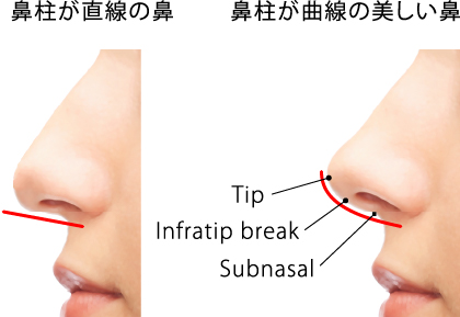Point.1 横顔の鼻柱の曲線